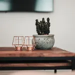 Zilter - Groot Duplex Appartement Met Terras