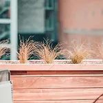 Zilter - Groot Duplex Appartement Met Terras